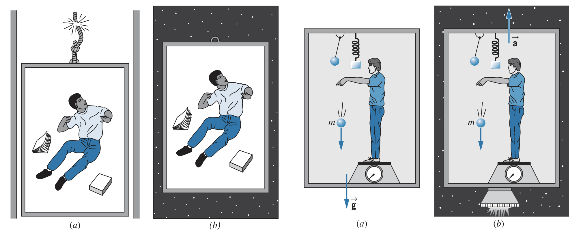 Equivalence principle