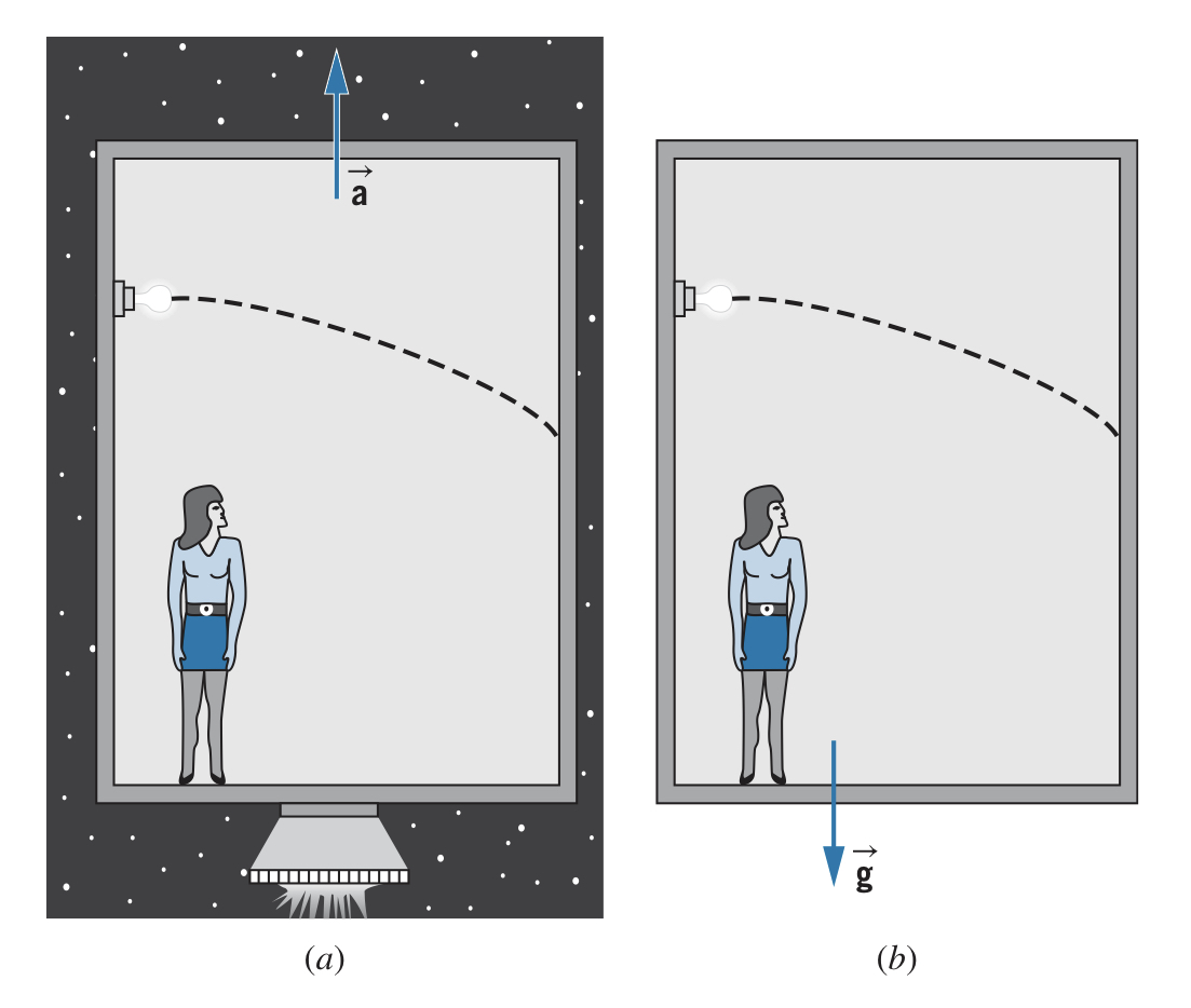 General relativity light experiment