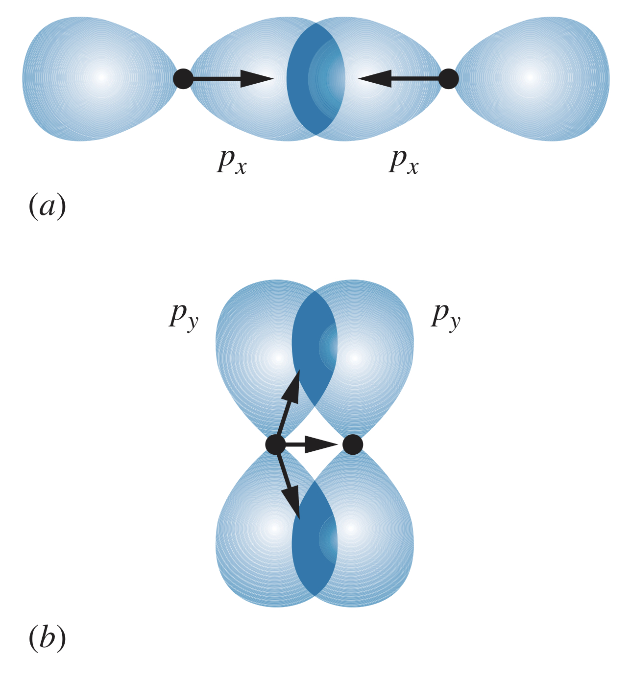 pp covalent bond