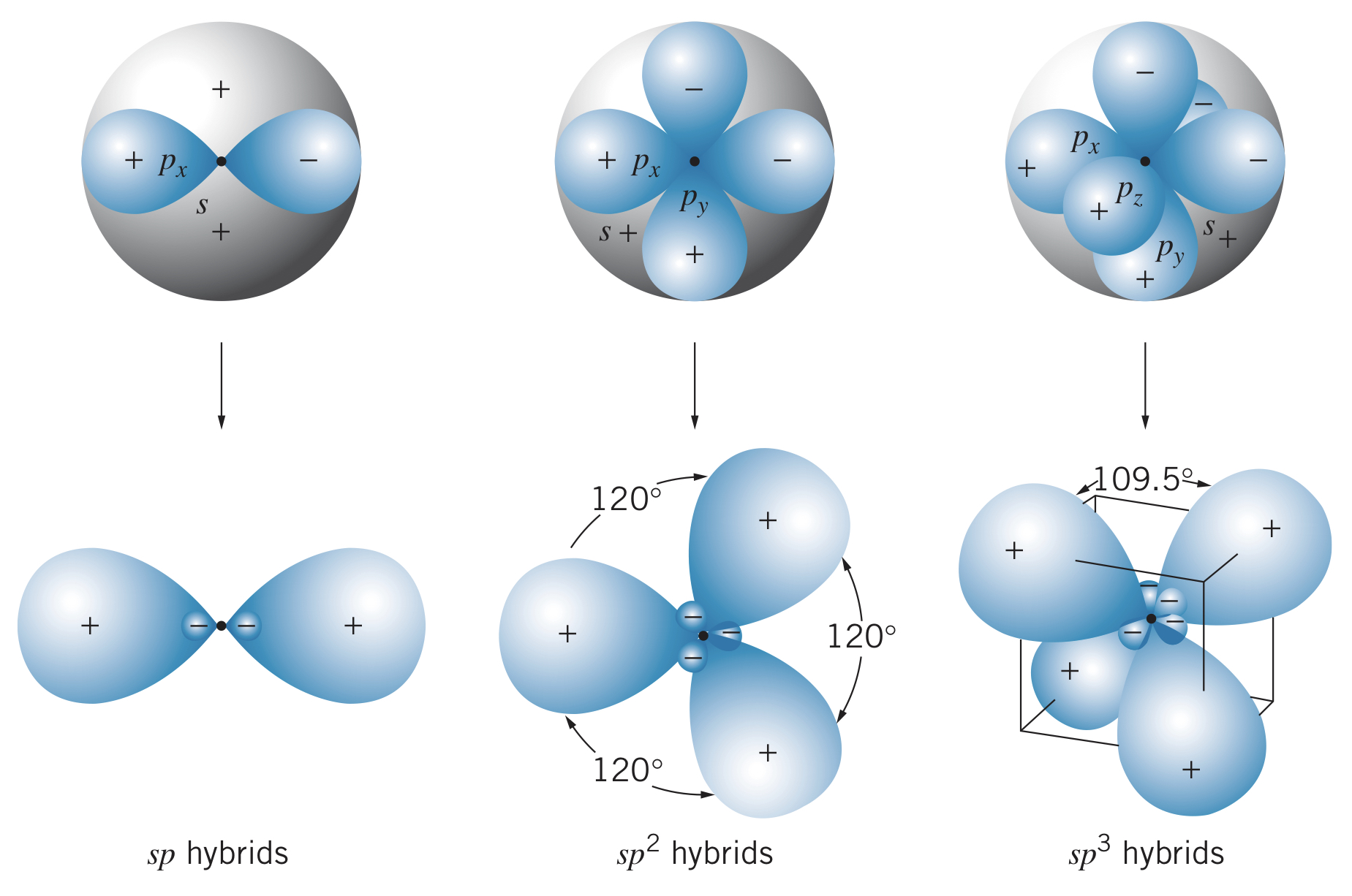 sp hybrid states